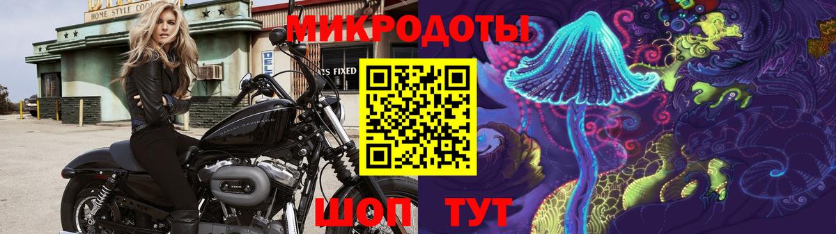 Псилоцибиновые грибы GOLDEN TEACHER  Вход с VPN  Медногорск  Псилоцибиновые грибы Cubensis 