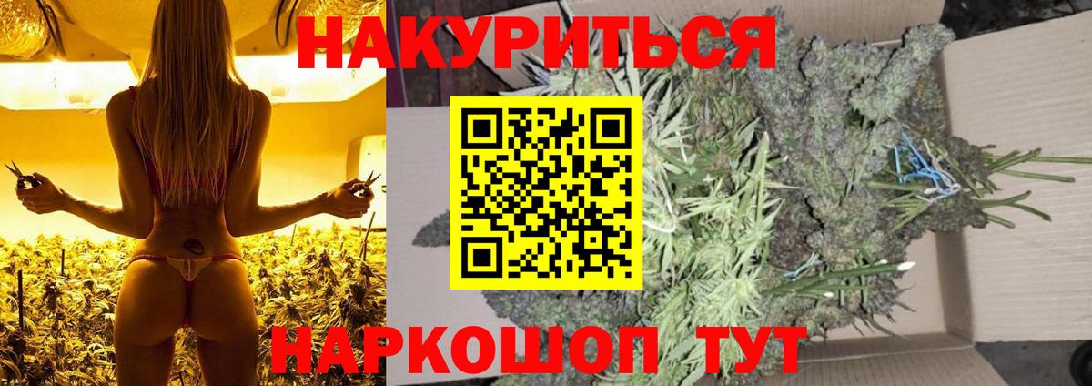 Шишки марихуана Bruce Banner  Шишки марихуана ГИДРОПОН  Бошки Шишки Amnesia  Медногорск  Вход с VPN  Канабис план 